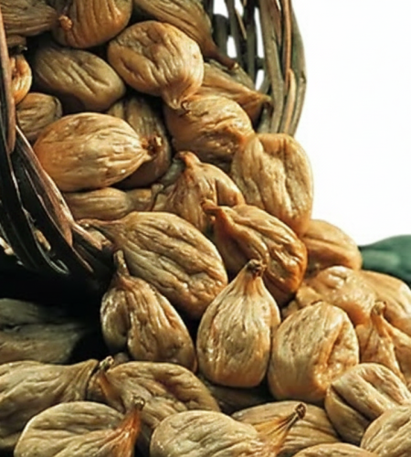 gemini generated image h3h8kqh3h8kqh3h8